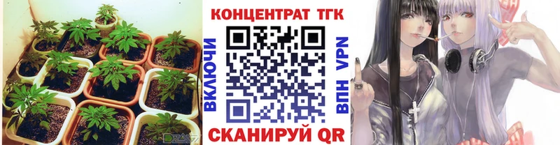 Дистиллят ТГК Wax Иланский